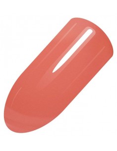 Shellac Color - No. 6 (12ml)