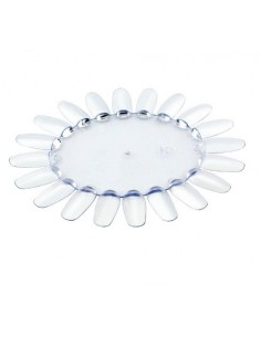 Margareta transparenta